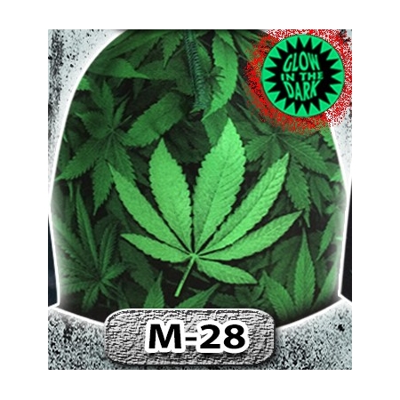 M28